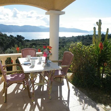 Villa Liamone Studio Fuer 3 Personen , 400 M Vom Strand, Pool, Klimaanlage ساغون المظهر الخارجي الصورة