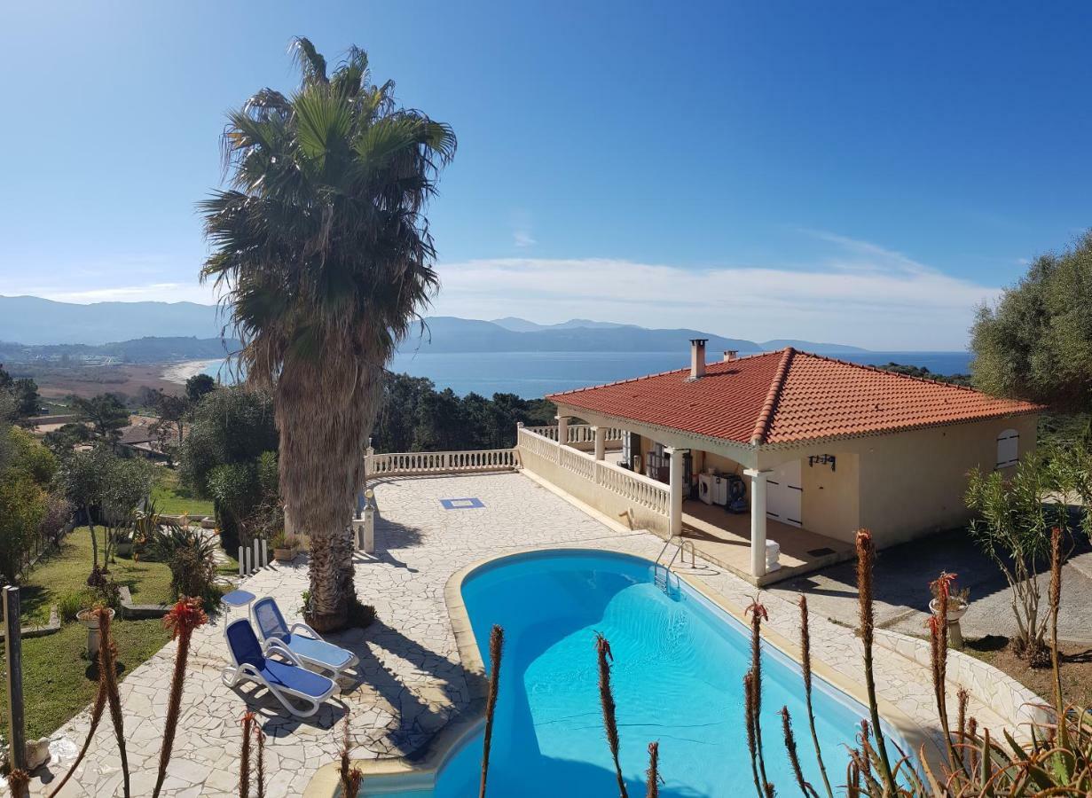 Villa Liamone Studio Fuer 3 Personen , 400 M Vom Strand, Pool, Klimaanlage ساغون المظهر الخارجي الصورة