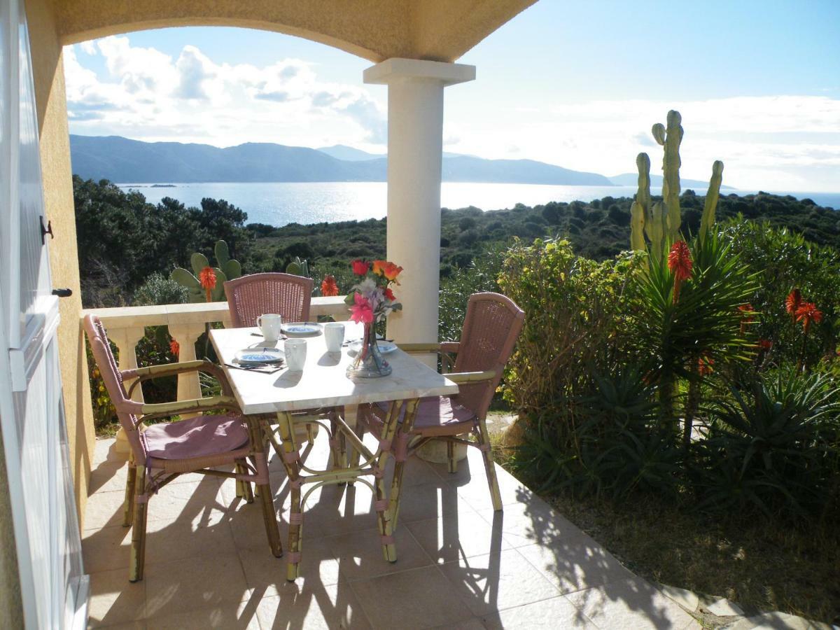 Villa Liamone Studio Fuer 3 Personen , 400 M Vom Strand, Pool, Klimaanlage ساغون المظهر الخارجي الصورة